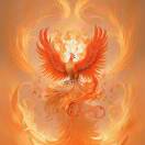 画画的酒 枕上浊酒