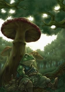 青蛙和蘑菇插画图片壁纸