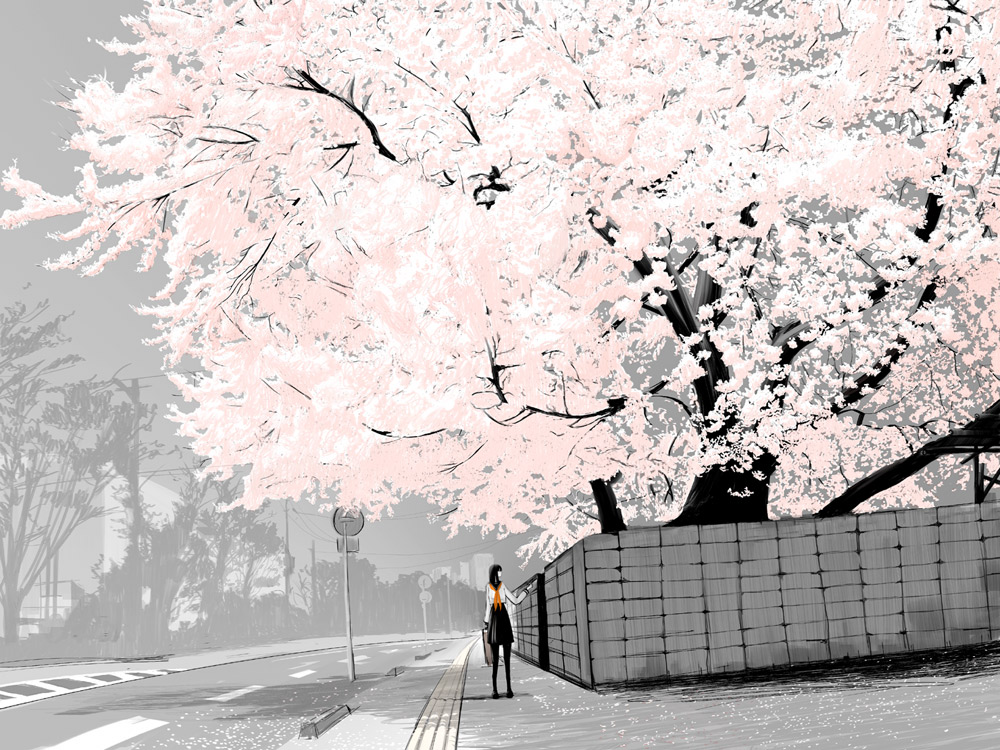 櫻-花朵白線