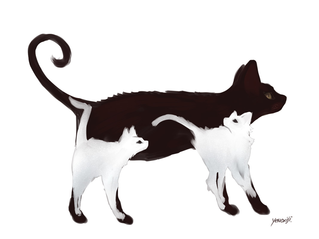 一匹の猫插画图片壁纸