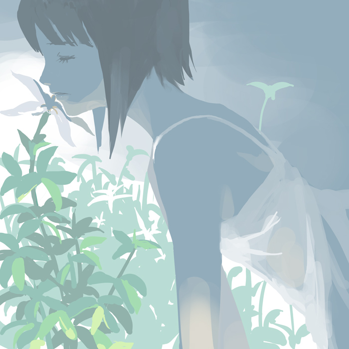 sketch001::Gardenia插画图片壁纸