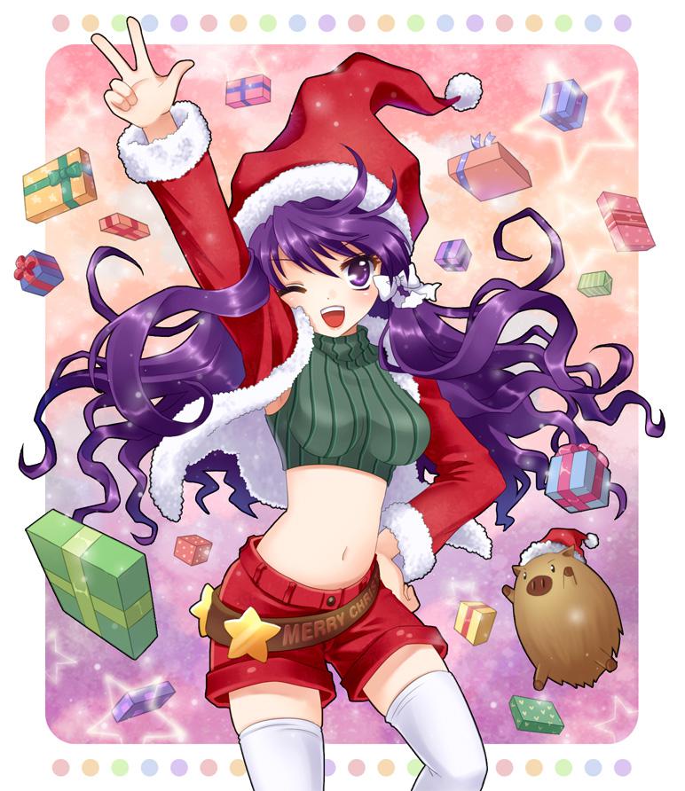 圣诞杏插画图片壁纸