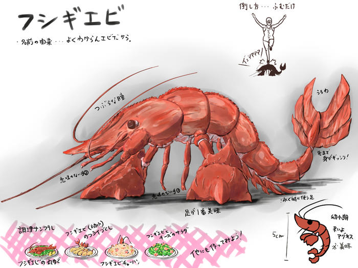 【PFⅣ】河豚虾【碎片的随从】插画图片壁纸