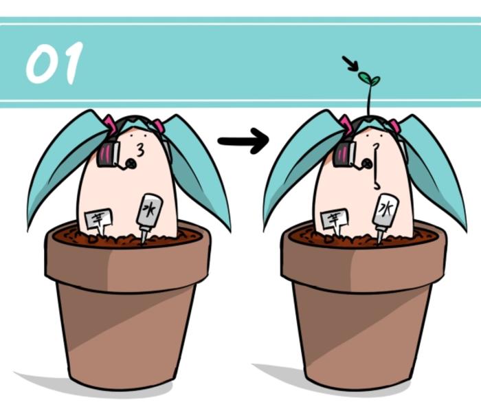 Q2.番薯的繁殖方法插画图片壁纸