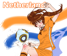 荷兰世界杯球队的全力支持