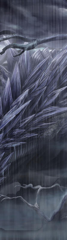 想在下雨的夜晚看到龙呢! !插画图片壁纸