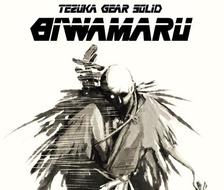 TEZUKA GEAR SOLID-BIWAMARU-