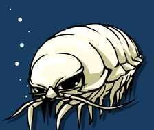 大王具足虫-ダイオウグソクムシ深海鱼