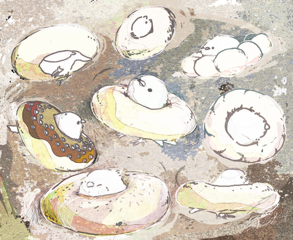 ドーナツの穴にはさまった鳥插画图片壁纸