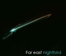 Far east nightbird