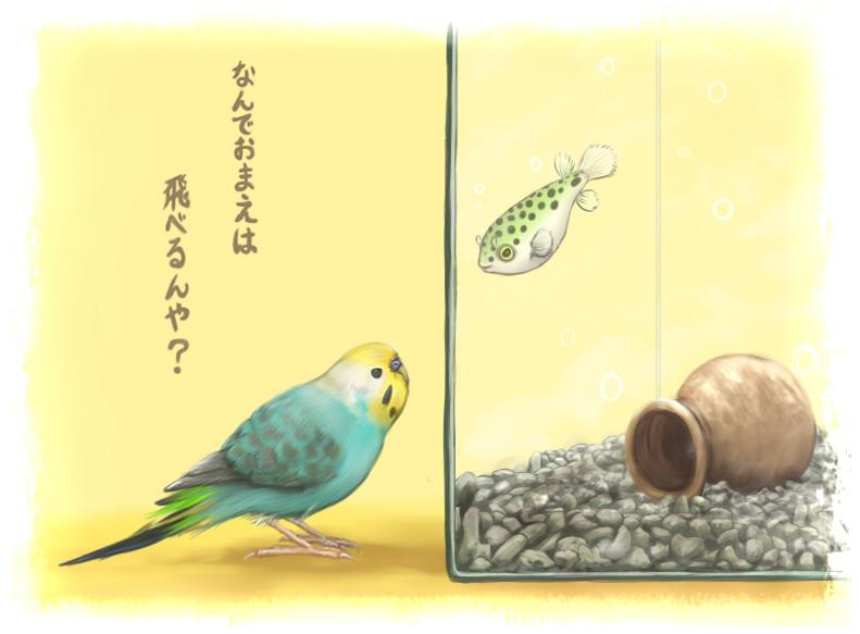 一般不会飞的鹦鹉对热带鱼抱有的疑问插画图片壁纸