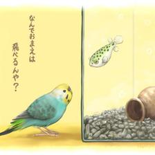 一般不会飞的鹦鹉对热带鱼抱有的疑问插画图片壁纸