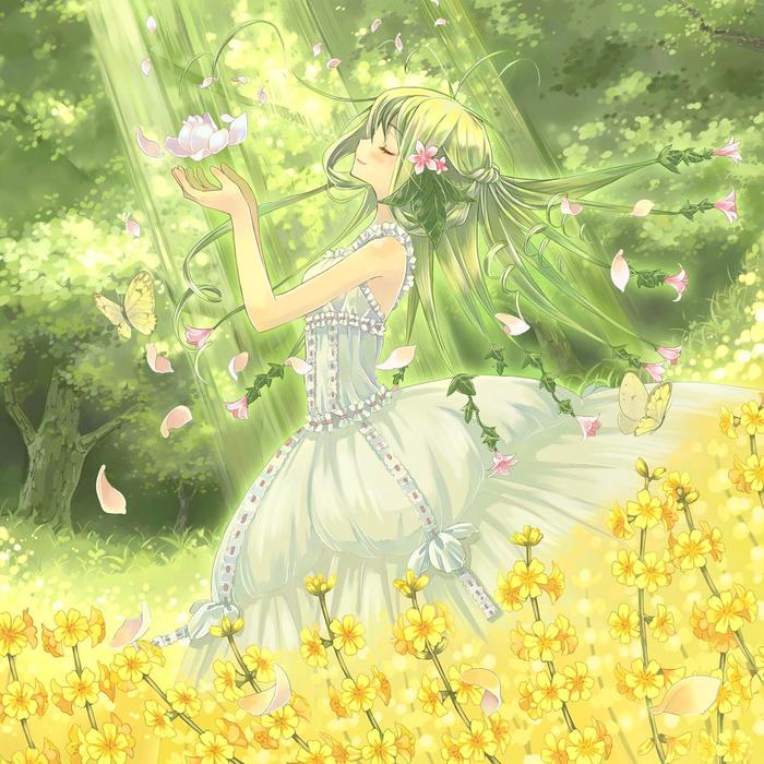 Flower Princess插画图片壁纸