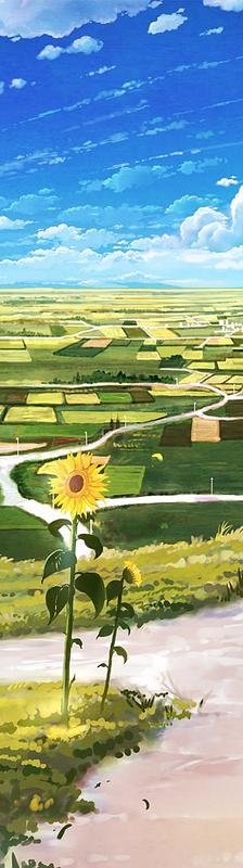 太阳花和夏天的风插画图片壁纸