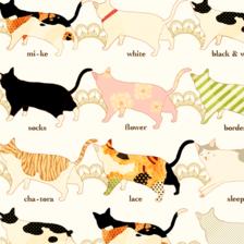 Cat's插画图片壁纸