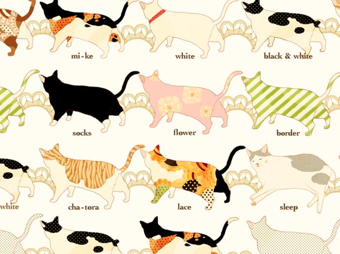 Cat's插画图片壁纸