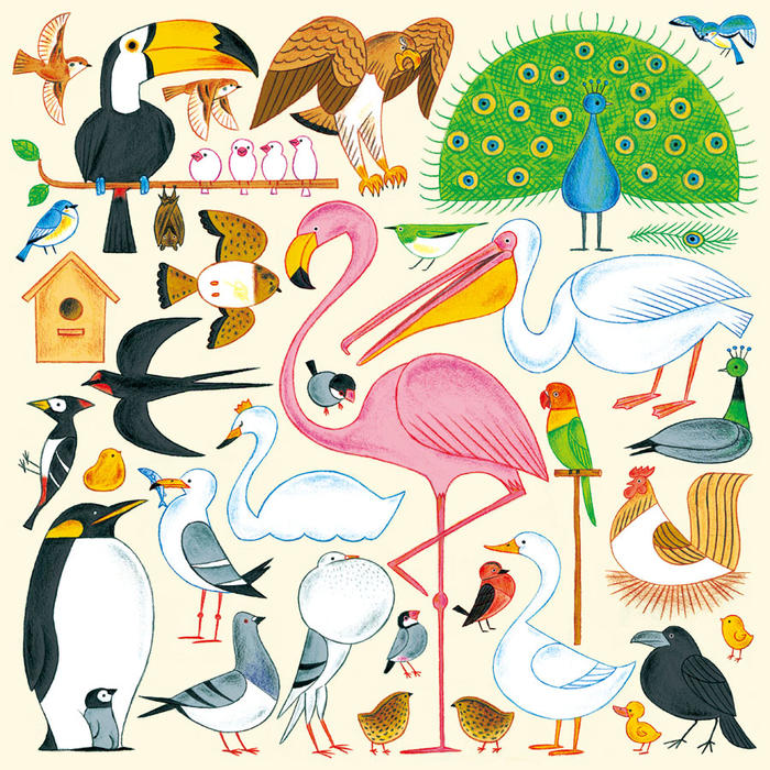 鳥類插画图片壁纸
