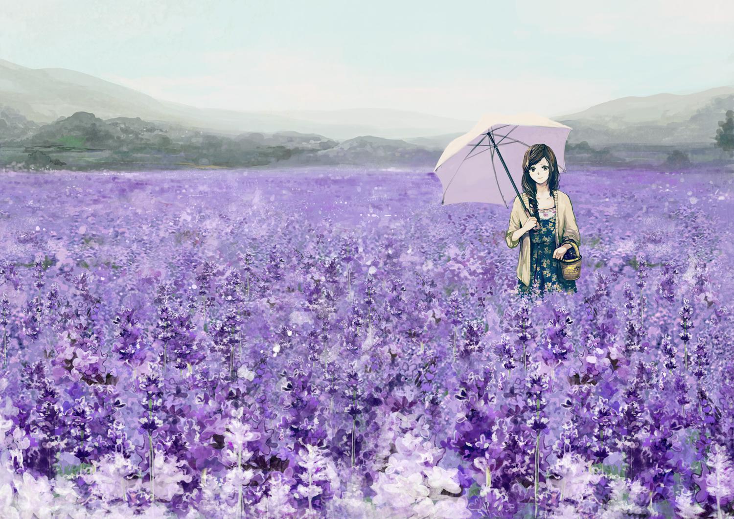 lavender flower插畫圖片壁紙