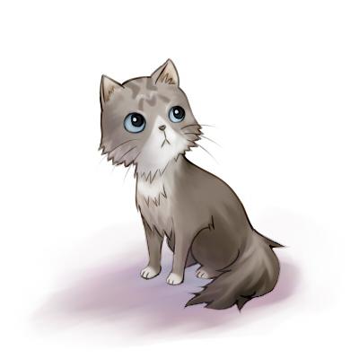 毛茸茸的猫插画图片壁纸