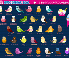 32冰鹦鹉-后半场鸟