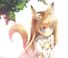 白狐※只有衣服-计算机动画狐耳