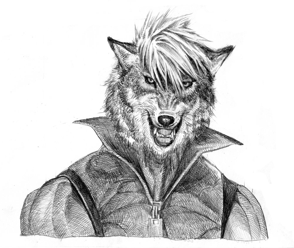 乌尔夫林插画图片壁纸