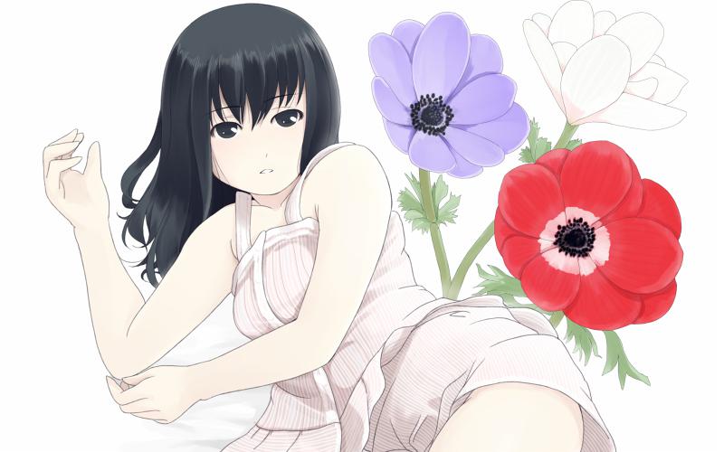 4月6日的生日花 青牡丹 原创 触站