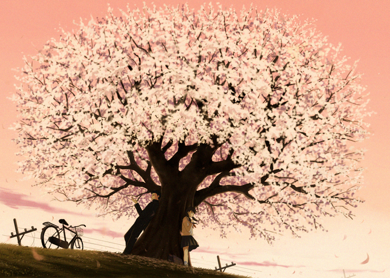 约定～在樱花树下插画图片壁纸
