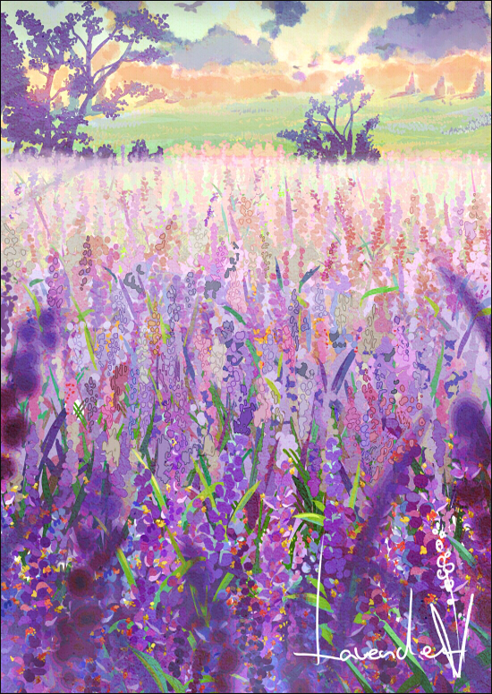 Lavender插画图片壁纸