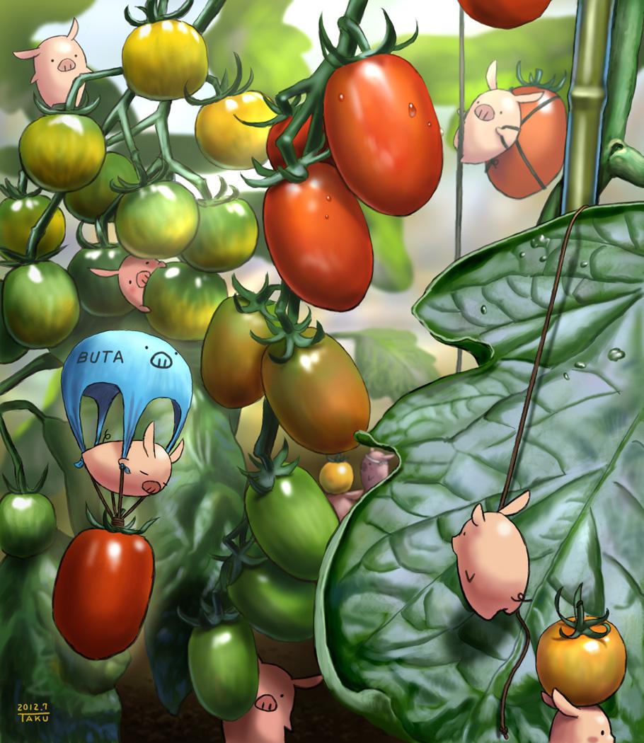 収穫収穫～-原创番茄
