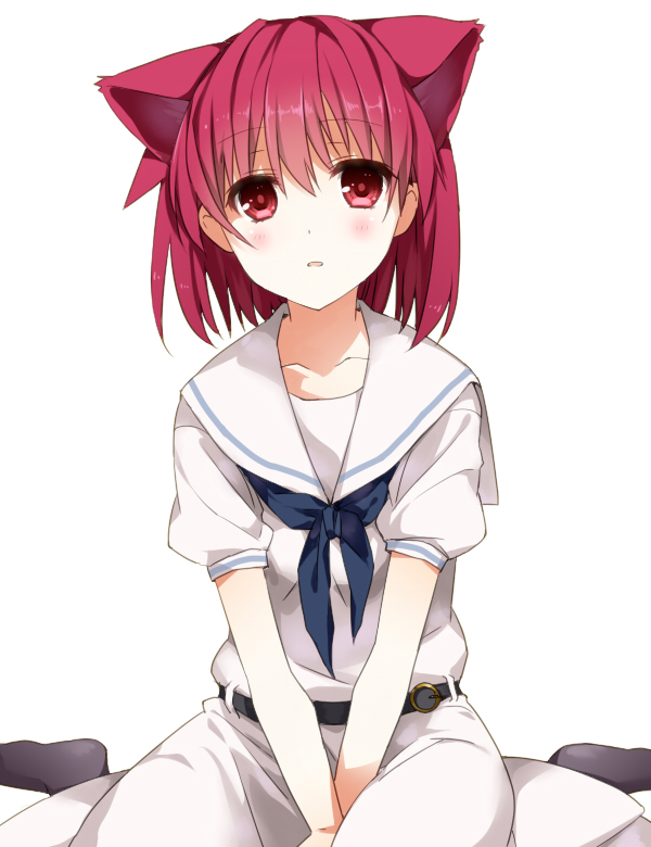 ねこてる头像同人高清图