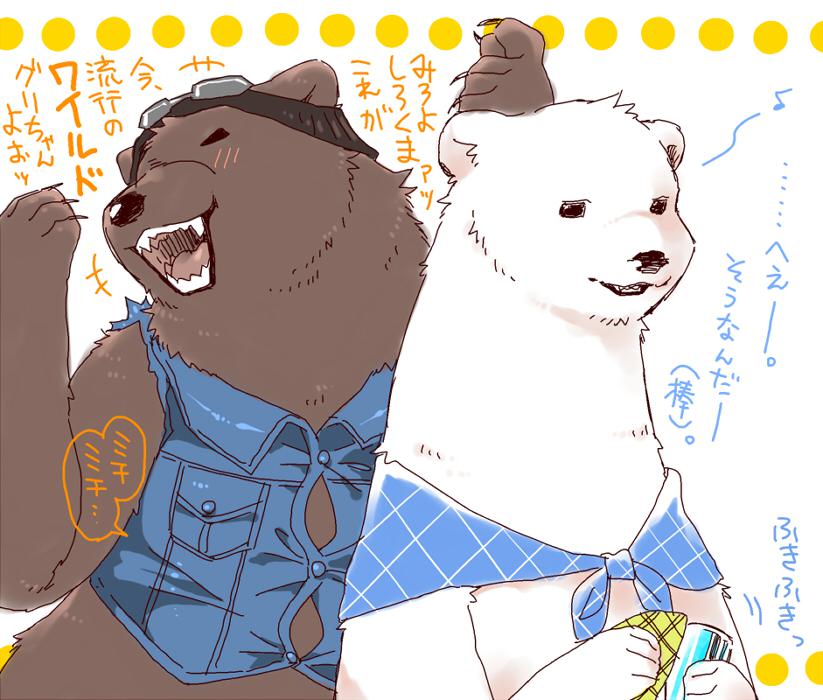 白熊和灰熊非常可爱。