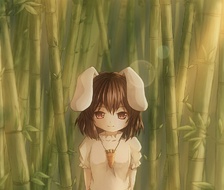 Tall Grass Rabbit