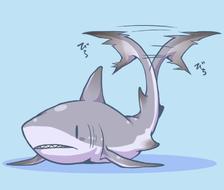 鲨鱼先生-动物鲛