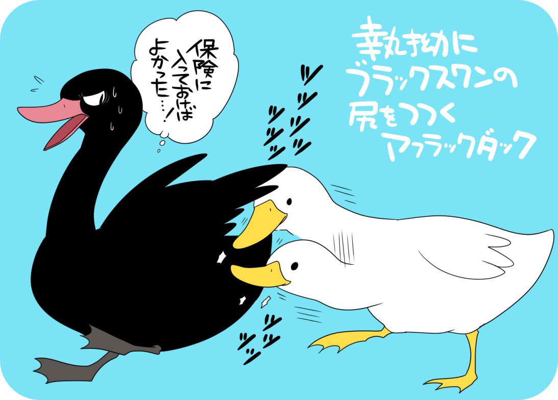 非洲烤鸭和黑天鹅插画图片壁纸