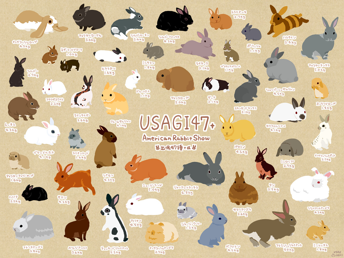 USAGI47+-动漫兔耳娘动物