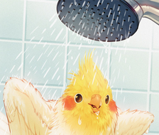 浴室海报-鸟隐身鹦鹉