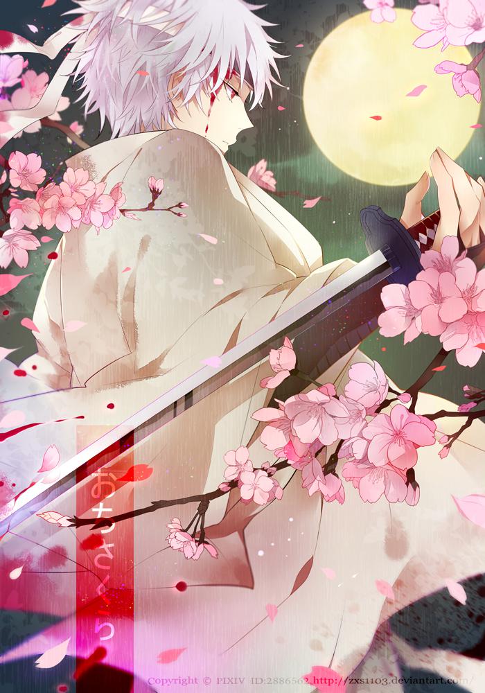 【銀魂】 落桜插画图片壁纸