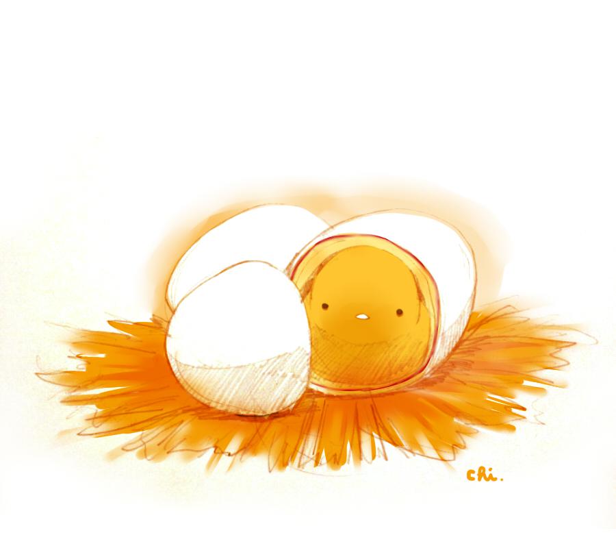 海鸥鸡蛋插画图片壁纸