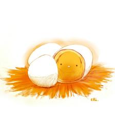 海鸥鸡蛋插画图片壁纸