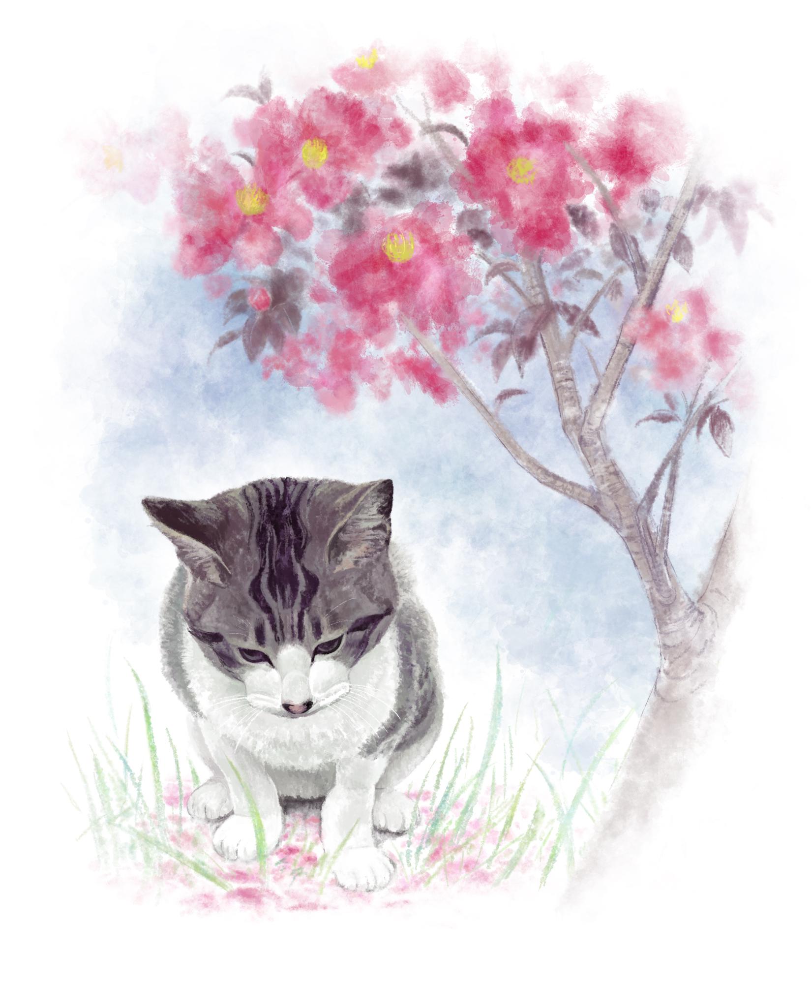 甘比诺和冬之花插画图片壁纸