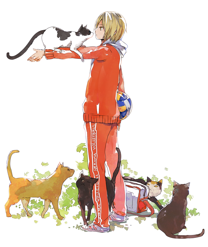 ねこ...磨-排球少年孤爪研磨