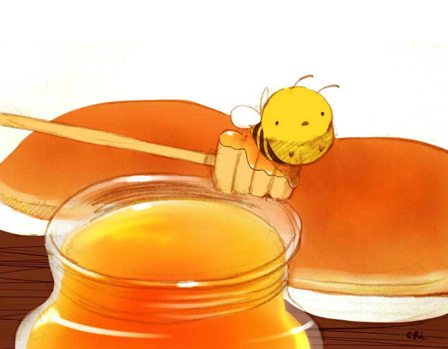 蜂蜜插画图片壁纸
