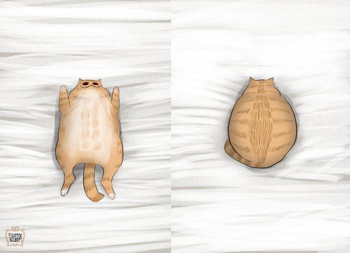 Creepy Cat 15 - Pillow插画图片壁纸