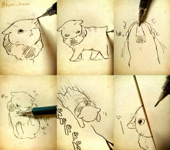 【英灵】和自动铅笔嬉戏的喵星人【动物化】插画图片壁纸