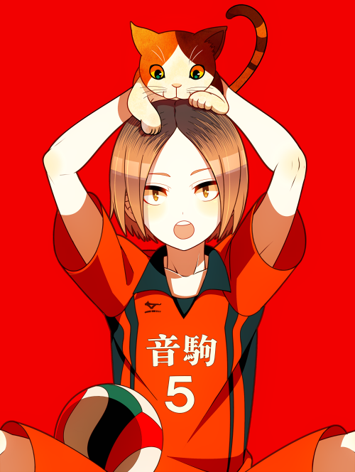 にゃーーーーー-排球少年孤爪研磨