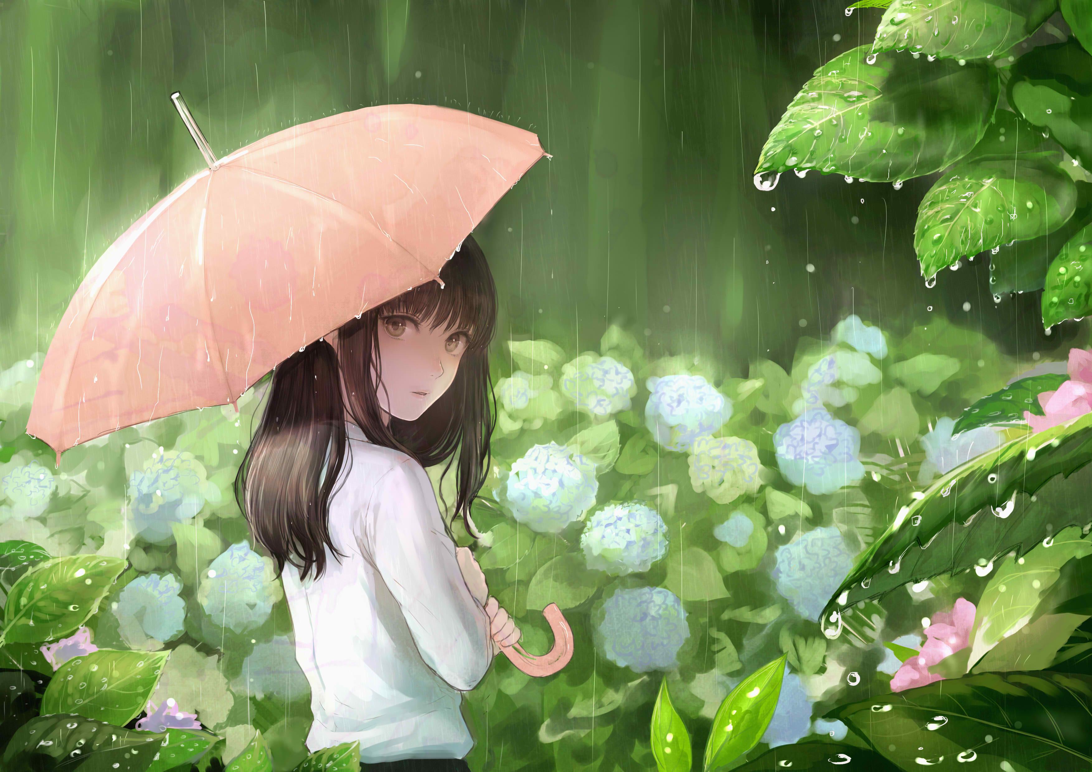 六月的雨插画图片壁纸