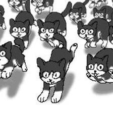 猫——————插画图片壁纸