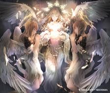 科洛萨斯订单“天使的祝福”