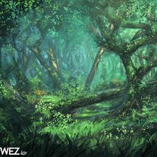 Wisewood Forest插画图片壁纸